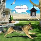 Outdoor Anti Barking Ultrasonic Bark Control dog Training Tool Device