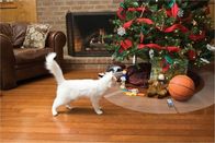 Indoor FLEXIBLE MAT dog training aids convenient storage dog cat training mat
