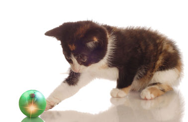 Lightweight Cute Pet Toys Abs Ball Diameter 44mm Four Kinds Of Sounds For Adjustment