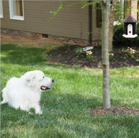 50 feet Ultrasonic Bark Control Pet Dog No Bark Deterrent Control Unit Trainer Device