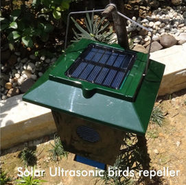 Solar Rodent ultrasonic mice control Repeller for outdoor with PIR Sensor Light