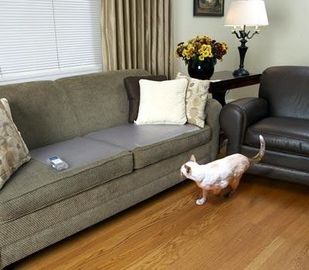 PVC material ultrasonic cat training mat static High static dog cat sofa training mat