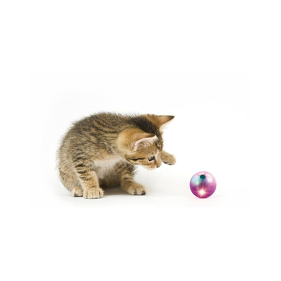 Manufacturers Wholesale All Kinds Of Color Pet Training Toy Puppy Tennis Cat Toy Ball